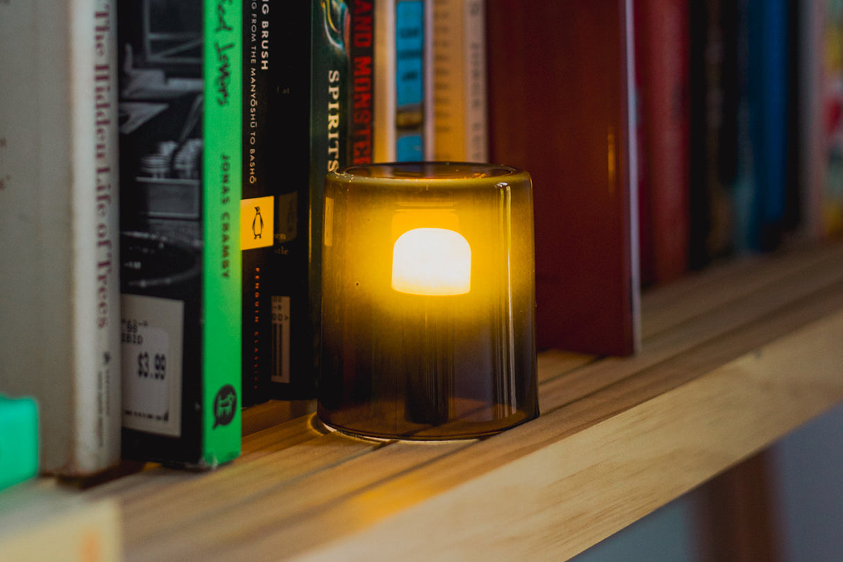 BioLite Site Lights illuminating a bookshelf with glowing bulbs