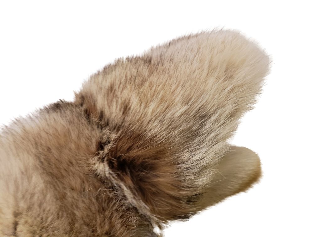 Closeup of the authentic Coyote fur mitts.