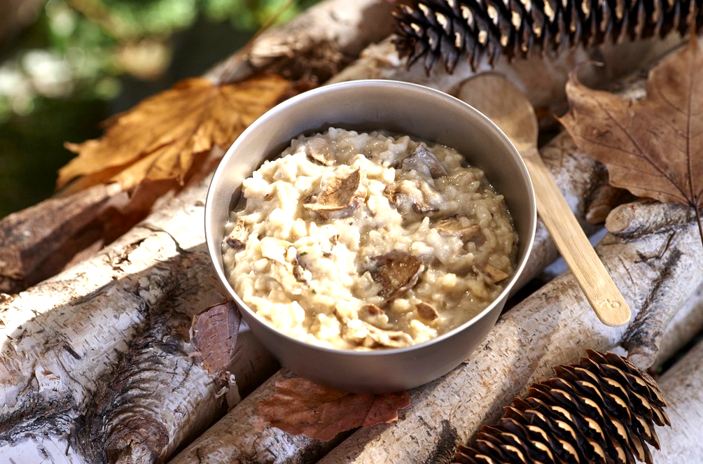 A bowl of mushroom risotto laid on a tree branch with pine cones and a wooden spoon.