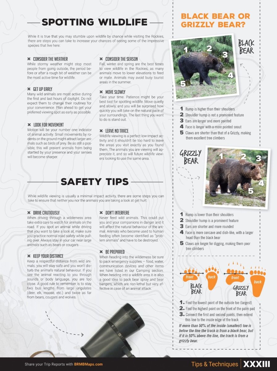 Canadian Rockies Backroad Mapbooks – 4th Edition | BRMB
