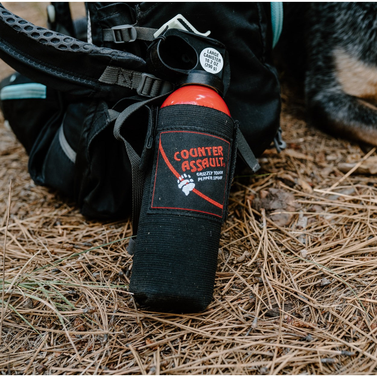 Camping Counter Assault Bear Spray