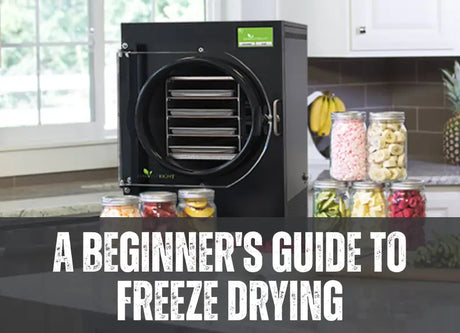 Freeze drying for beginners
