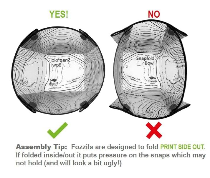 Fozzils - Snapfold Solo Set (Cup, Bowl & Plate)