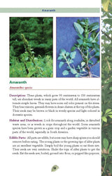 The Pocket Guide to Edible Wild Plants