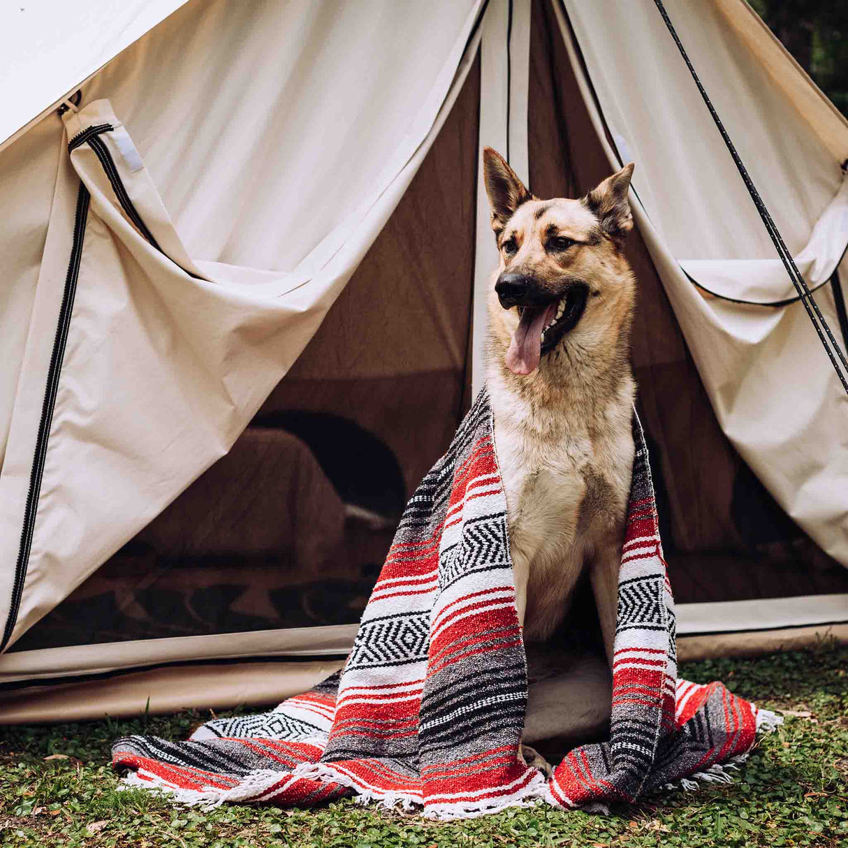 White Duck 13' Avalon Bell Tent | Fire Water Repellent | Beige