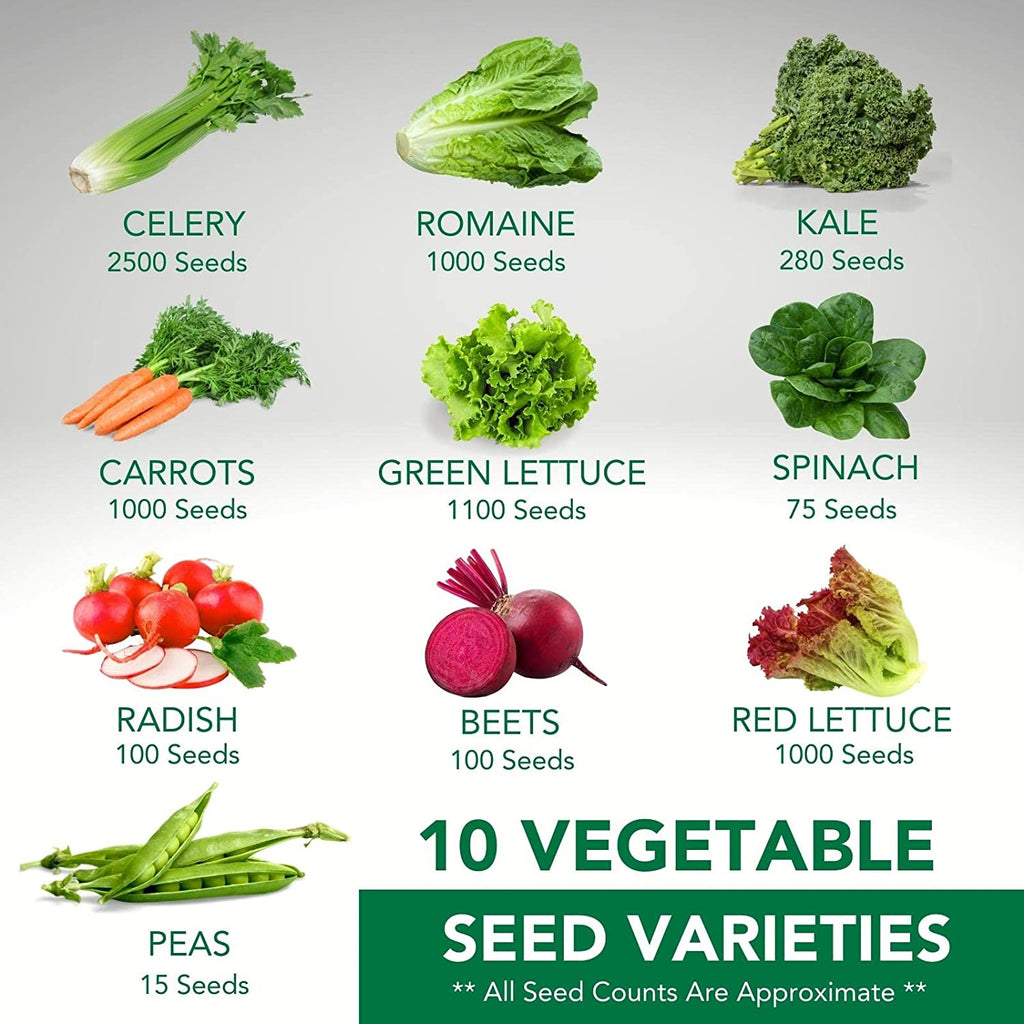 10 Vegetable Seed Varieties | Spring & Fall | 10,000+ Seeds — Canadian ...