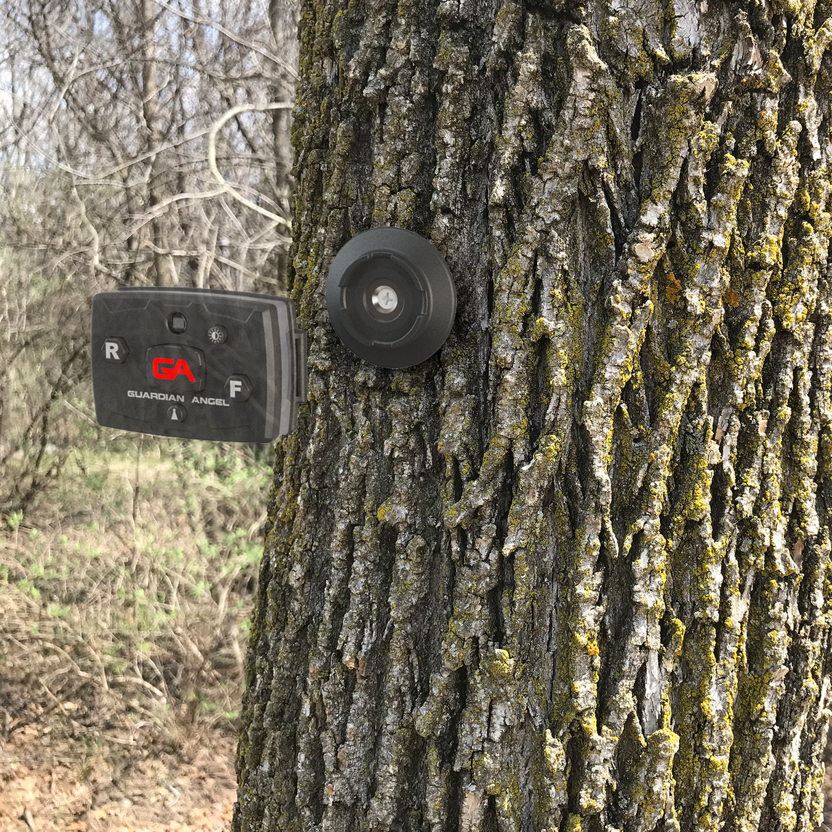 Guardian Angel Outdoor Boat/Marine Magnetically mounted on a tree with the magnetic clip screwed into the tree.