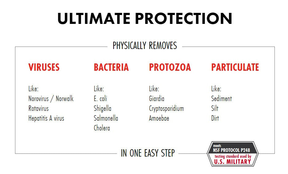 Chart of viruses, bacteria, protozoa, and particulate that can be removed from a water souce using the MSR Guardian water purifying system. Norovirus, rotavirus, hepatitis A, e. coli, shigella, salmonella, cholera, giardia, cryptosporidium, amoeboae, sediments, silt, and dirt!