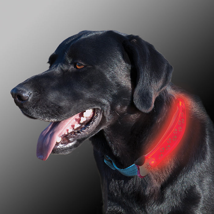 Nite-Ize NiteDawg™ LED Collar Cover