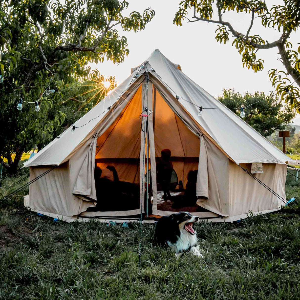 White Duck 13' Regatta Bell Tent | Fire Water Repellent | Beige