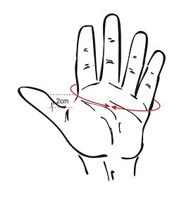 hand size drawing