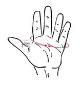 hand size drawing