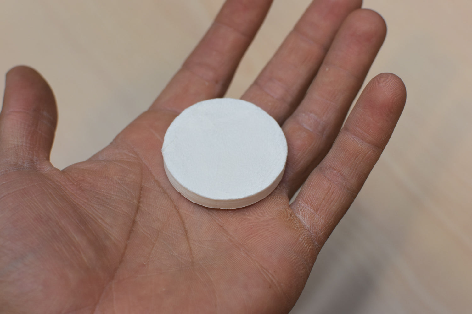 wysi toilet paper discs in mans hand